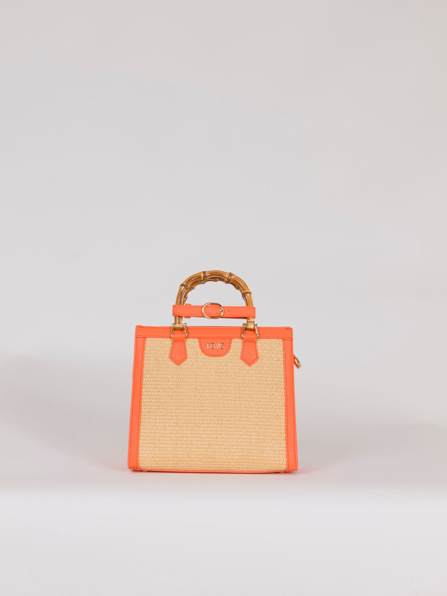 Bag Brownie